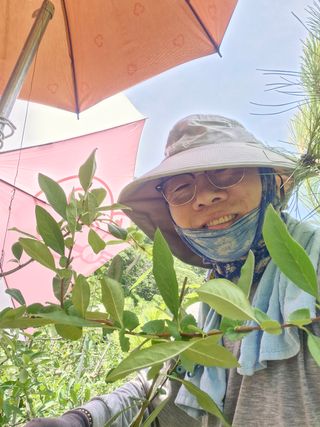 김재열님의 기타작물 · 영농일지 작성글 사진