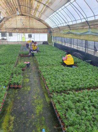 최영수님의 기타작물 · 영농일지 작성글 사진