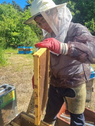 유미경님의 작성글 사진