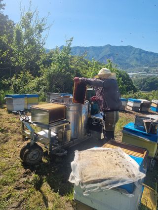 유미경님의 작성글 사진