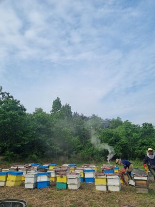 유미경님의 작성글 사진