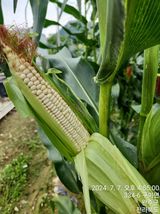 팜모닝 · 게시글 이미지