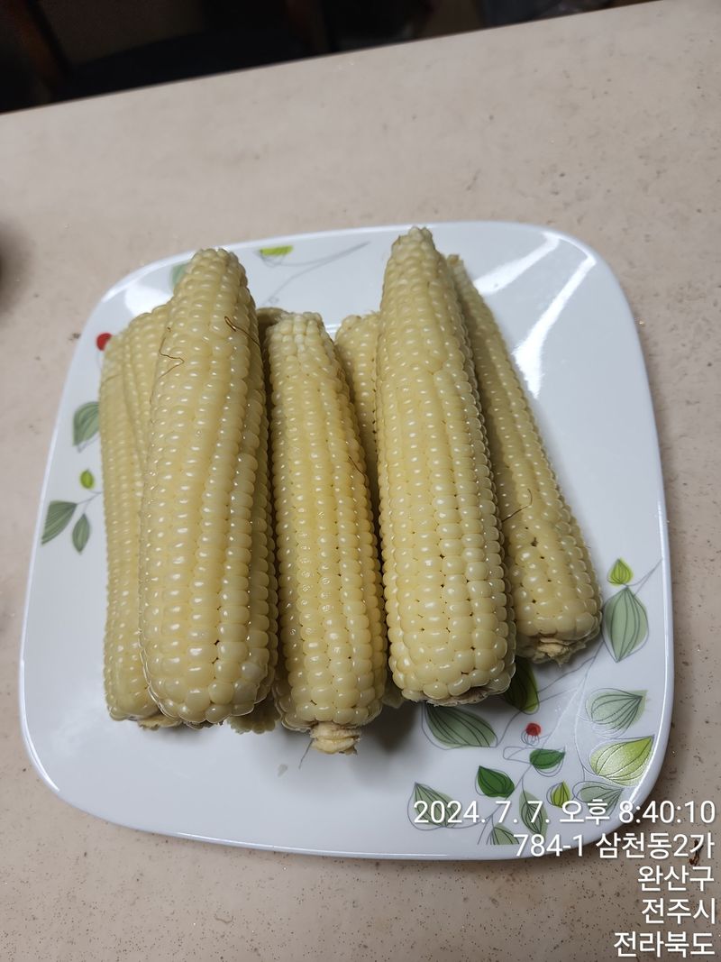 약도라지6018님의 장터 판매 상품 [찰옥수수 미백2호 50개 판매완료 ] 첨부 사진