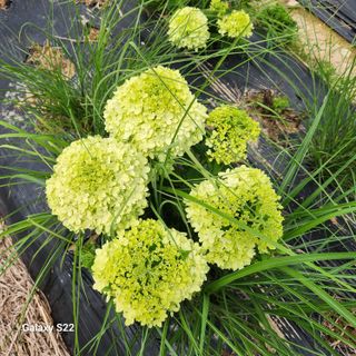 우리꽃님의 자유주제 · 자유게시판 작성글 사진