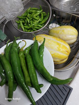 배추15698님의 들깨 · 영농일지 작성글 사진