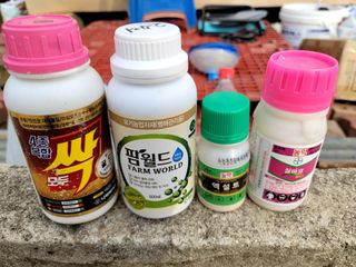 천지현황님의 고추 · 영농일지 작성글 사진