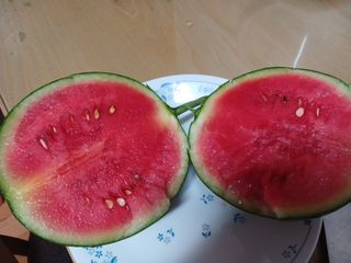 금동이네님의 기타작물 · 영농일지 작성글 사진