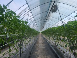 머위농장님의 자유주제 · 자유게시판 작성글 사진