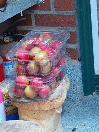 차상철님의 자두 · 영농일지 작성글 사진