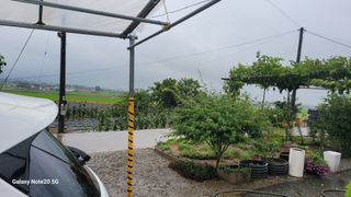 제주농부님의 고추 · 영농일지 작성글 사진