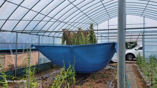 제주농부님의 고추 · 영농일지 작성글 사진