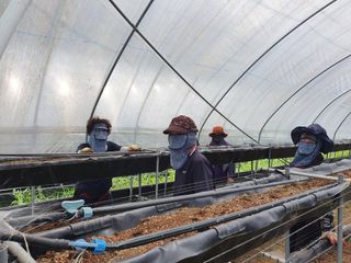 권혁태 님의 기타작물 · 영농일지 작성글 사진