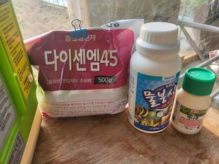 장두학님의 고추 · 영농일지 작성글 사진