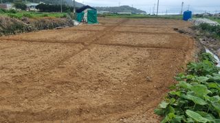 돌산갓농부(김승렬)님의 기타작물 · 영농일지 작성글 사진