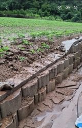 팜모닝 자유주제·자유게시판 게시글 이미지