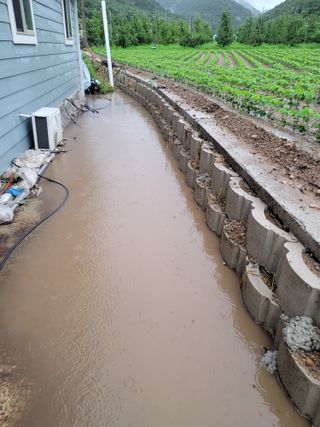 향기나무농장 님의 자유주제 · 자유게시판 작성글 사진