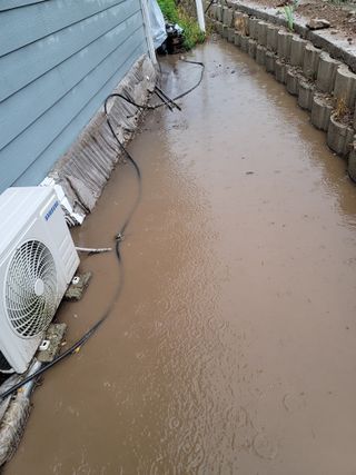 향기나무농장 님의 자유주제 · 자유게시판 작성글 사진