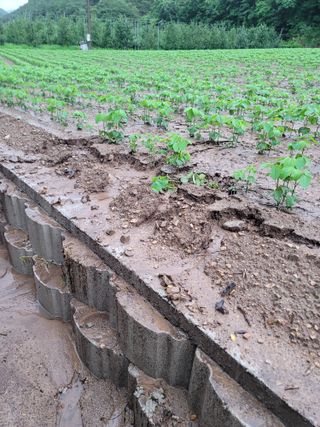 향기나무농장 님의 자유주제 · 자유게시판 작성글 사진
