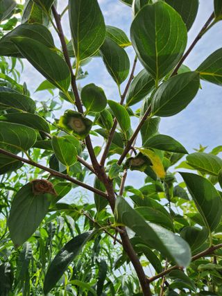 콩19211님의 자유주제 · 자유게시판 작성글 사진