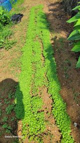 팜모닝 자유주제·자유게시판 게시글 이미지