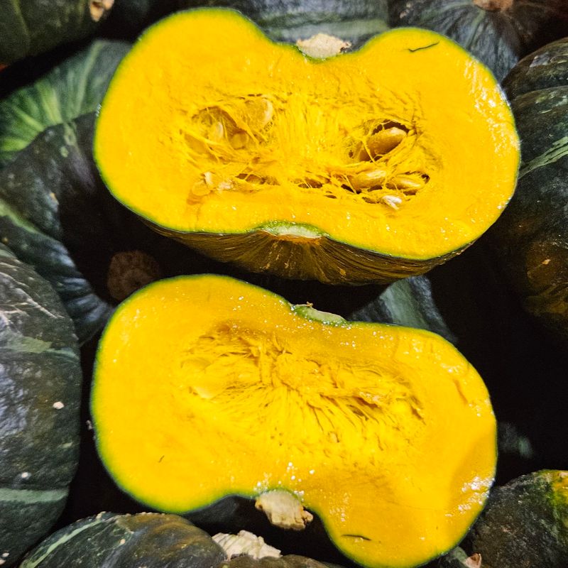 장터 상품 [제주산 미니밤호박 2kg 3kg 5kg 10kg] 썸네일