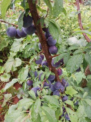 임광빈님의 자유주제 · 자유게시판 작성글 사진