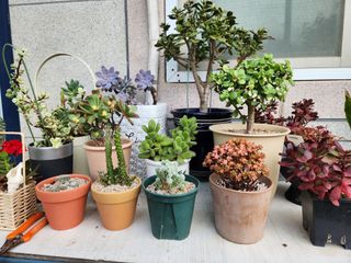 최영호님의 자유주제 · 자유게시판 작성글 사진