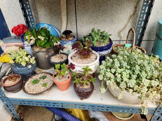 최영호님의 자유주제 · 자유게시판 작성글 사진