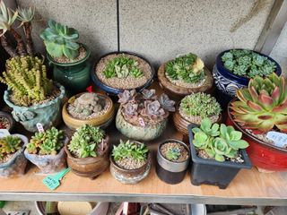 최영호님의 자유주제 · 자유게시판 작성글 사진