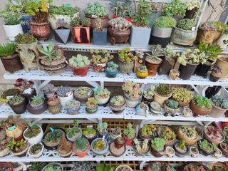 최영호님의 자유주제 · 자유게시판 작성글 사진