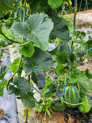 이우섭님의 자유주제 · 사진전 작성글 사진