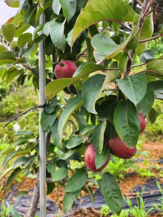 이우섭님의 자유주제 · 사진전 작성글 사진