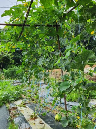 이우섭님의 자유주제 · 사진전 작성글 사진