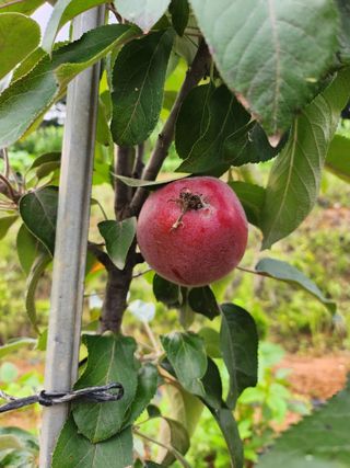 이우섭님의 자유주제 · 사진전 작성글 사진