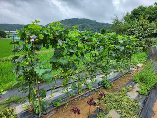 이우섭님의 자유주제 · 사진전 작성글 사진
