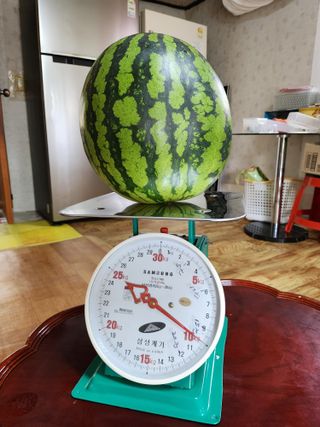 이우섭님의 자유주제 · 사진전 작성글 사진