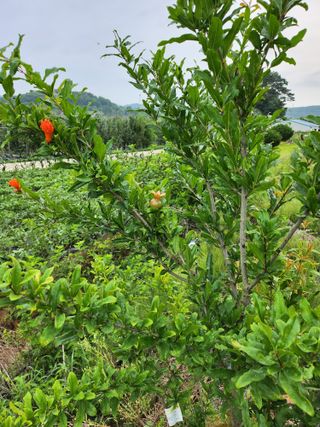 이우섭님의 자유주제 · 사진전 작성글 사진