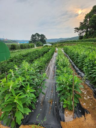 이우섭님의 자유주제 · 사진전 작성글 사진