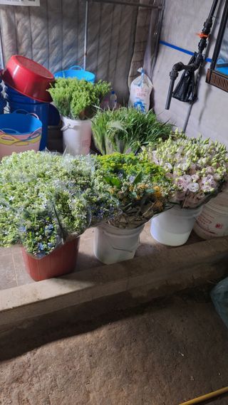 초원농원님의 기타작물 · 영농일지 작성글 사진