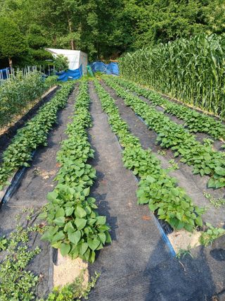 배추13283님의 자유주제 · 자유게시판 작성글 사진