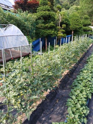 배추13283님의 자유주제 · 자유게시판 작성글 사진