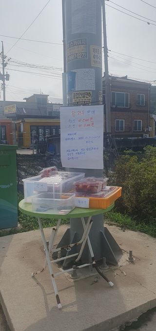 최동열님의 자유주제 · 자유게시판 작성글 사진