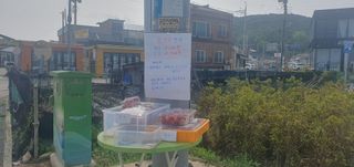 최동열님의 자유주제 · 자유게시판 작성글 사진