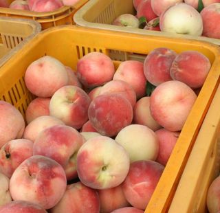 김재현님의 작성글 사진