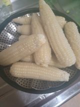 팜모닝 🍉여름을 나는 방법·참여글 게시글 이미지