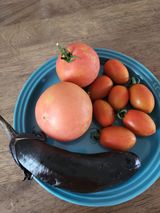 팜모닝 자유주제·자유게시판 게시글 이미지