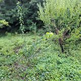 팜모닝 감·영농일지 게시글 이미지