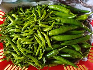 남궁봉님의 자유주제 · 사진전 작성글 사진