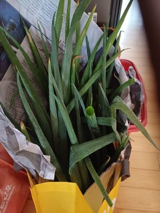 남궁봉님의 자유주제 · 사진전 작성글 사진