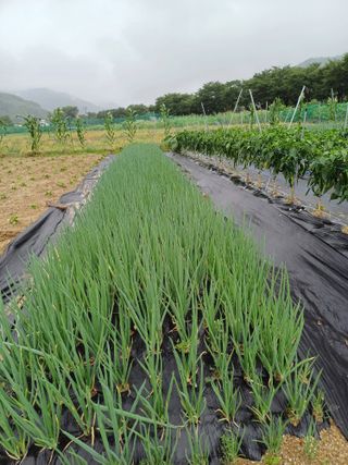 남궁봉님의 자유주제 · 사진전 작성글 사진